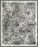 Gordon Onslow Ford, Lunar Wind, 1962, Parles paint on canvas
