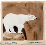 Peter Schlesinger, Untitled, c. 1968, Double-sided acrylic on canvas