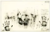 Jasper Johns, Skin with O'Hara Poem