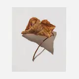 David Morrison, Rusted Leaf Series 2, 2006, colored pencil on paper