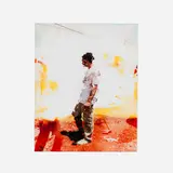 Curtis Mann, The Alturist, 2011, archival pigment print