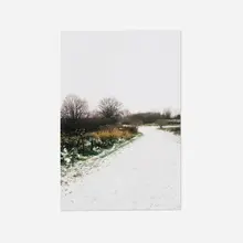 Mike Bayne, Untitled (Snowy Road), 2005, oil on Masonite