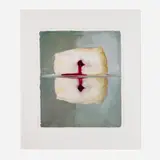 Emily Eveleth, Inverse, 2006, oil on paper