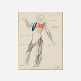 Enrique Castro-Cid, Anatomy