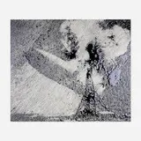 Vik Muniz, Disaster (monumental work)