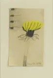 Mary Newcomb, Untitled
