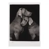 William Wegman, Friends