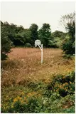 Richard Prince, The Girl Next Door, 1999, Ektacolor print on Kodak paper