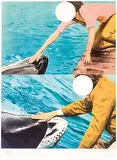 John Baldessari, Two Whales (With People)
