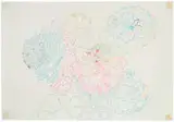 Ryōko Aoki, Flowering Cabbage, 2004, Ink and watercolor on paper