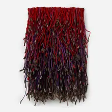 Telas Amaral, Flores #16 (from the Flores series), c. 1985, wool and horsehair