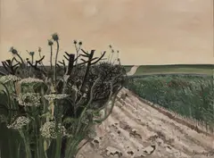 Liam Hanley, Untitled, oil on canvas 46 x 61cm .