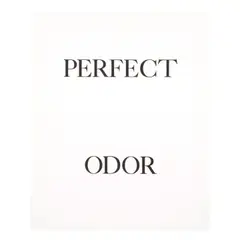 Bruce Nauman, Perfect Door; Perfect Odor; Perfect Rodo (Cirrus p. 321-322), 1973