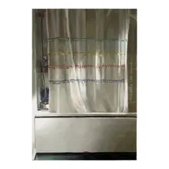 Mike Silva, Shower Curtain, 2023, oil on linen