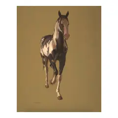 Claudio Bravo, Untitled (Caballo), 1982, oil on canvas