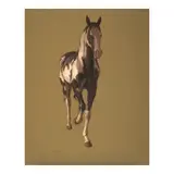 Claudio Bravo, Untitled (Caballo)