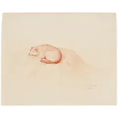 Claudio Bravo, The Dog, 1990, sanguine on paper