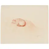 Claudio Bravo, The Dog, 1990, sanguine on paper