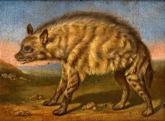Jens Juel, The Hyena in the Menagerie of Frederiksberg Castle, The painting is a early replica of the work by Jens Juel