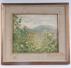 Raul Viviani, Surroundings of Cunardo