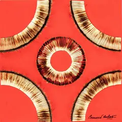Bernard Aubertin, Dessin de Feu, 2009, Angebrannte Streichholzheftchen auf rot gefasstem Holz