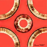Dessin de Feu by Bernard Aubertin, 2009, Angebrannte Streichholzheftchen auf rot gefasstem Holz, offered May 2026