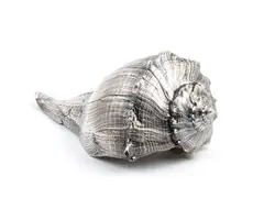 Buccellati: Natural seashell covered in silver by Mario Buccellati, Bolinus brandalis shell, offered May 2026