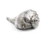 Mario Buccellati, Buccellati: Natural seashell covered in silver, Bolinus brandalis shell