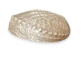 Mario Buccellati, Buccellati: Natural seashell covered in silver, Haliotis shell