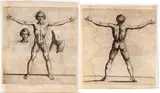 Raffaello Schiaminossi, Vitruvian Man, Set of two prints. Etching