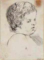 Stefano della Bella, Head of a child turned three-quarters, Etching