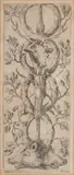 Stefano della Bella, Ornamental panel with two boar heads, from "Ornamenti o grottesche", Etching