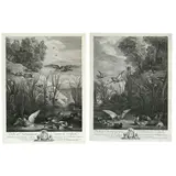 Jacques Philippe Le bas, Les Canards, after David Teniers the Younger, Set of two prints. Etching and engraving