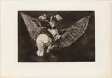 Disparate volante by Francisco Goya, Plate no., offered Apr 2026
