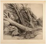 Alphonse Legros, Le Typhon (Tornado), Drypoint