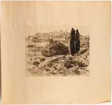 Settimo Bocconi, View with two cypresses, 1926, Etching