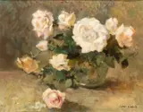 Valentino White, Roses