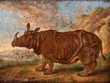 Jean-Baptiste Oudry, Clara the rhinoceros