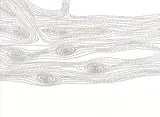 Corrado Cagli, Untitled, 1962, Ink on paper