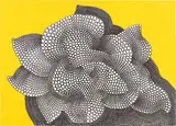 Corrado Cagli, Anacrusi, 1968, Silkscreen