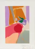 Stefano Arienti, Untitled