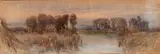 Onorato Carlandi, Afternoon in the Pontine Marshes, 1915