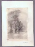 Trees (Villa Borghese) by Mariano Fortuny Marsal, 1872, Etching and aquatint on chine-collé, offered Nov 2025