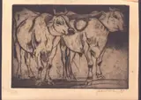 Arturo Checchi, Two oxen | Two donkeys, Lot of two engravings: Two oxen