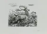 Antonio Ligabue, Deer hunting, Etching