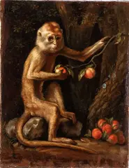 George Stubbs, Little monkey with peaches, The painting is an antique replica of the work by George Stubbs