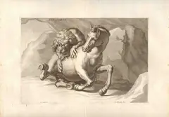 Richard Collin, Leo et Equus, da Johachim von Sandrart. etching