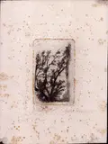Francesco Vitalini, Castel Fusano, etching