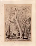 David Hermine, Senza titolo, etching on card