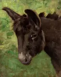 Stefano Bruzzi, Donkey